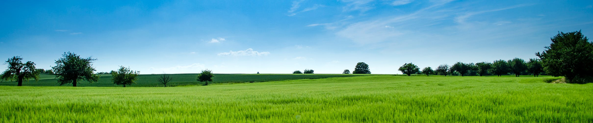 新聞動(dòng)態(tài)-1